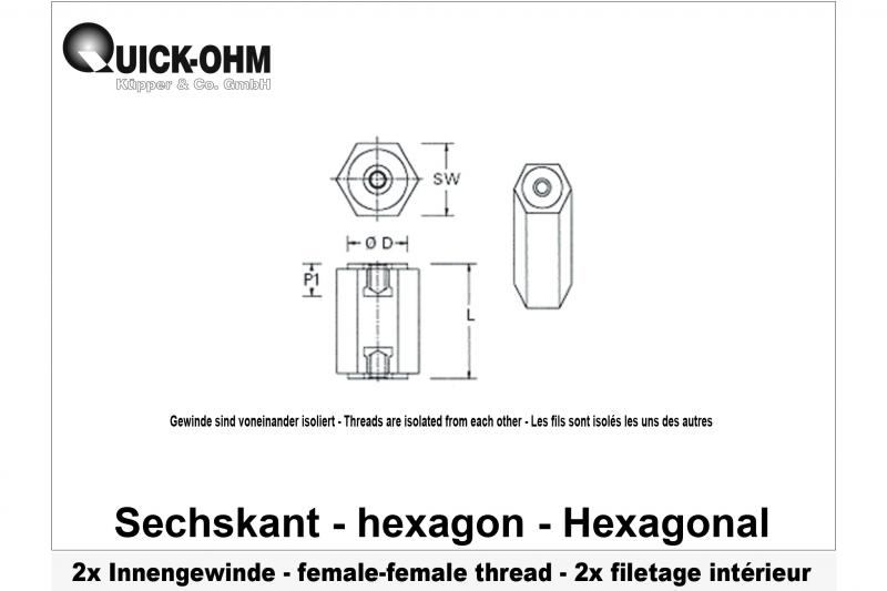 Hexagonal-Plein-2xFiletage intérieur-L55mm